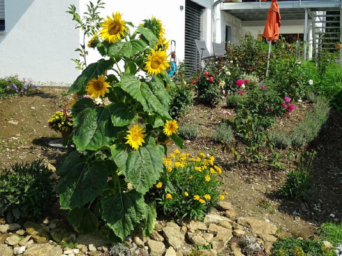 Ferienwohnung Hofstatt Lalling Kültér fotó